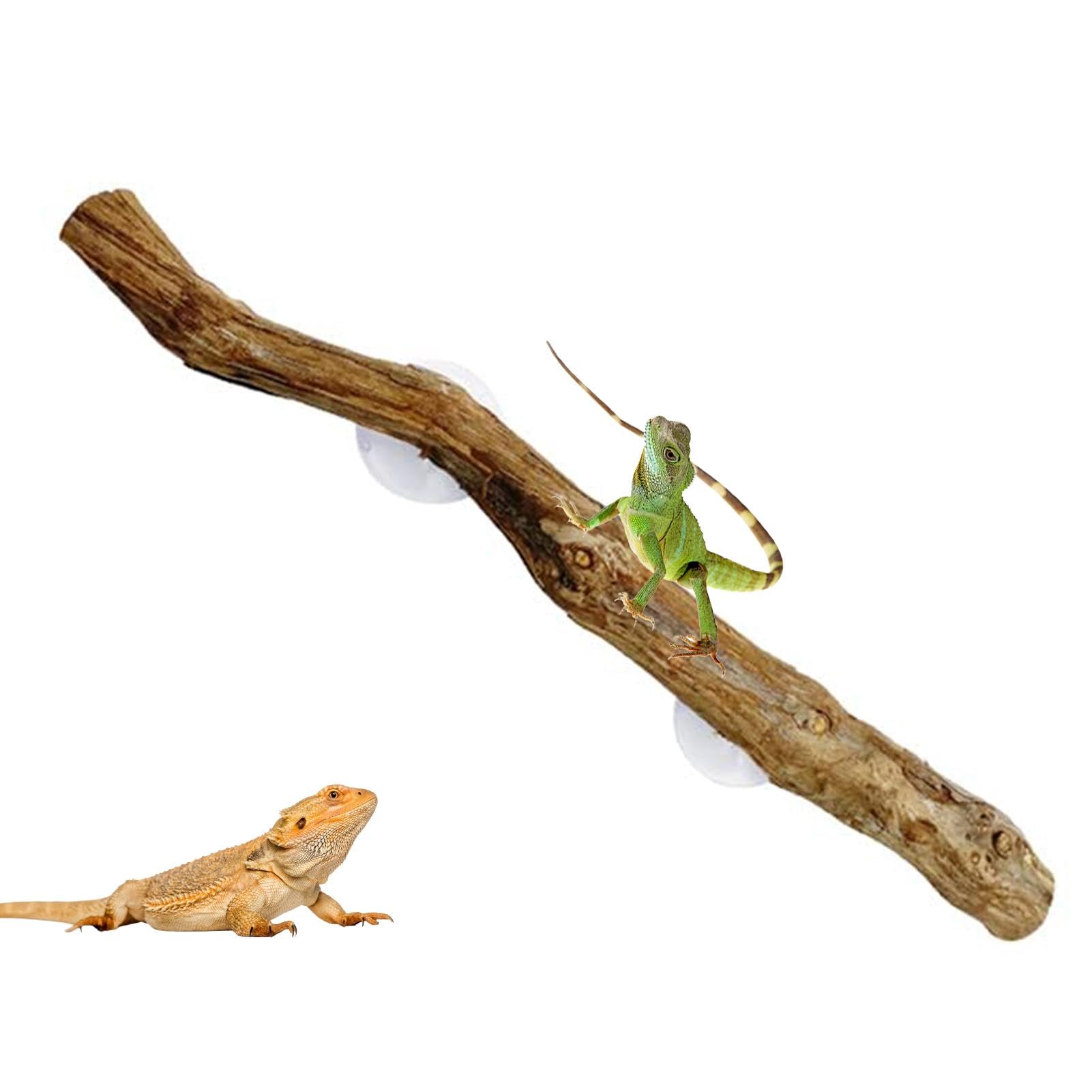 Amazon.co.jp: Ghjkldha 爬虫類クライミングブランチ | 天然木の爬虫類